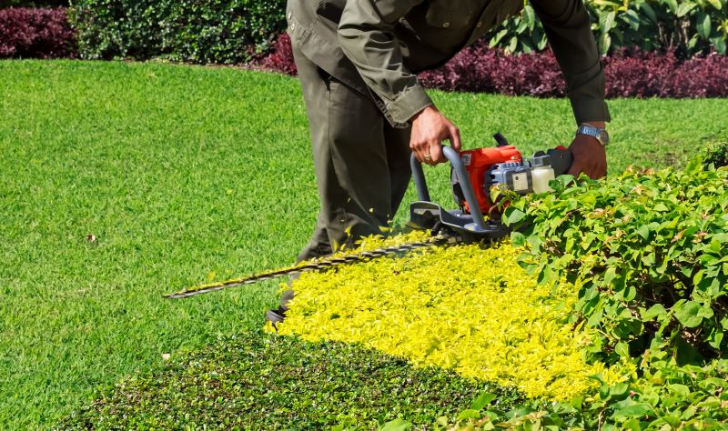 Landscaper Pruning a Bush